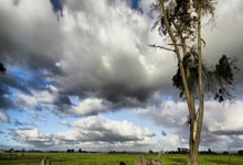 苟仲文：从苟局到仲文同志的蜕变之路