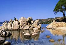 “深圳AI陪伴机器人项目获红杉资本青睐，引领智能交互新潮流”